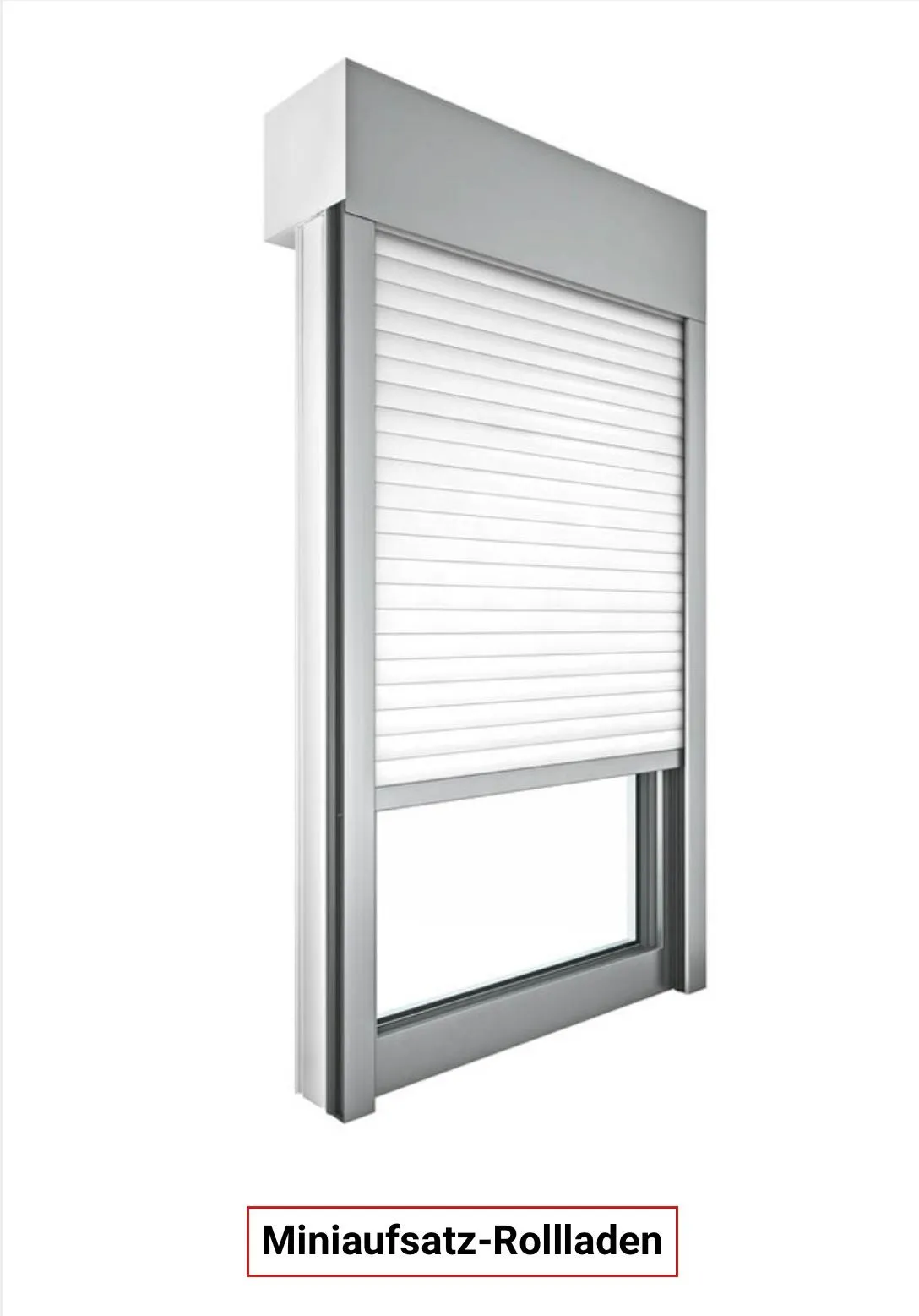Fenster Paradies - Raffstores
