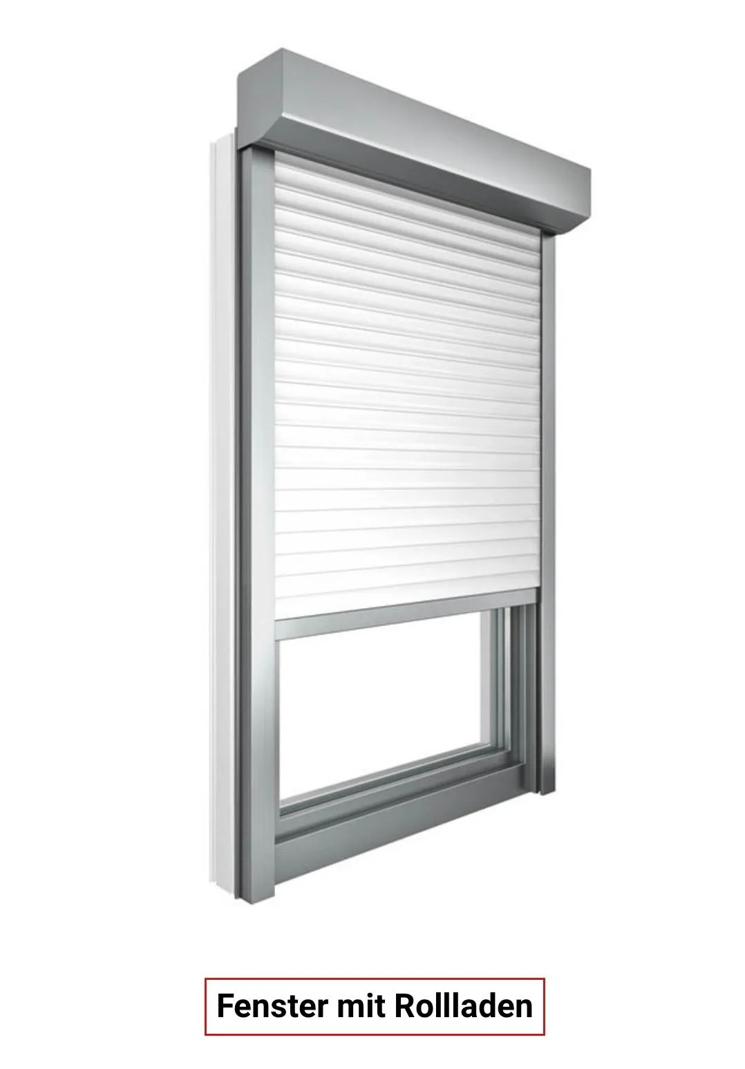 Fenster Paradies - Rollläden 