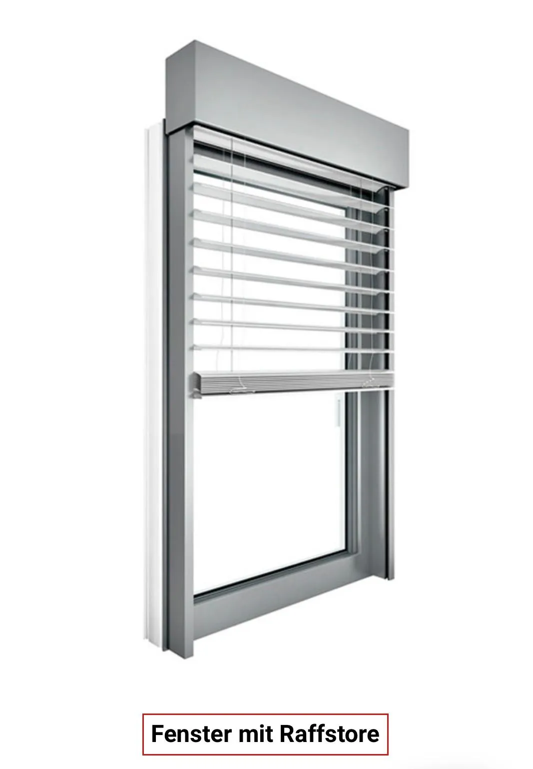 Fenster Paradies - Raffstores